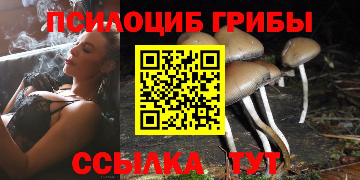 где можно купить   Галлюциногенные грибы GOLDEN TEACHER  Вход с VPN  Магнитогорск 